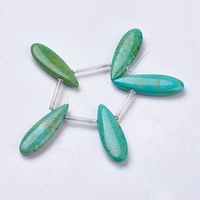 Natural Magnesite Beads Strands TURQ-K003-09D-1