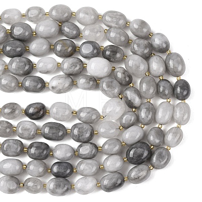 Natural Cloudy Quartz Beads Strands G-G453-D08-01-1