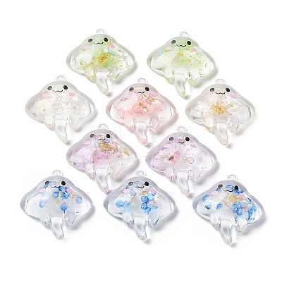 Luminous Transparent Acrylic Pendants X-TACR-F006-01-1