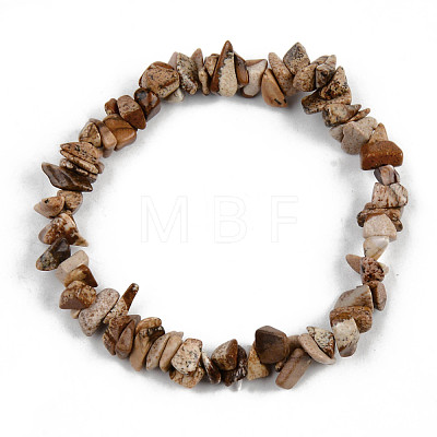 Unisex Chip Natural Picture Jasper Beaded Stretch Bracelets BJEW-S143-29-1