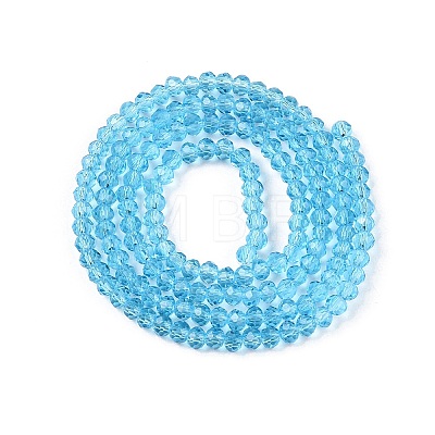 Glass Beads Strands EGLA-A044-T2mm-D08-1