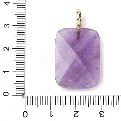Natural Amethyst Faceted Pendants G-B186-01G-02-1