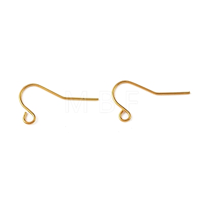 Iron Earring Hooks RN-CBA973B-10B-G-1