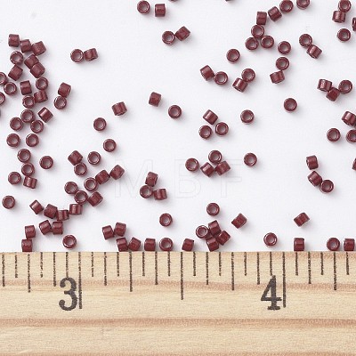 MIYUKI Delica Beads SEED-MY11-DB2119-1
