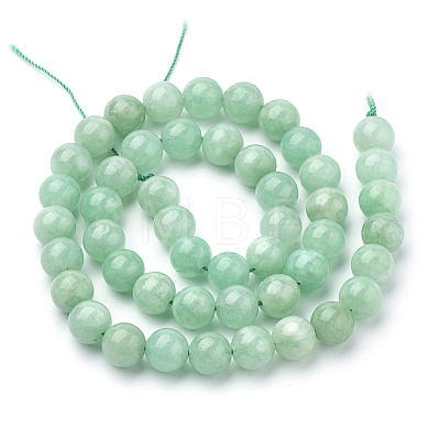 Natural Myanmar Jade/Burmese Jade Beads Strands G-T064-22-6mm-1
