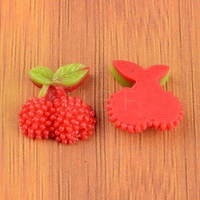 Resin Cabochons CRES-B3049-A99-1