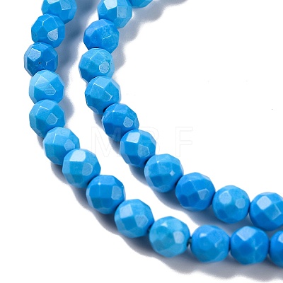 Natural Howlite Beads Strands G-C025-02C-10-1