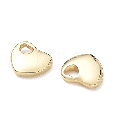 304 Stainless Steel Charms SA-CBA3037-20G-02-1
