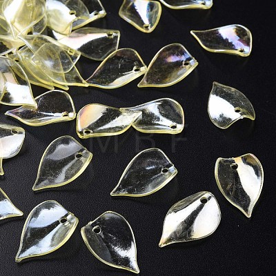 Transparent Acrylic Beads MACR-S373-103-C-1