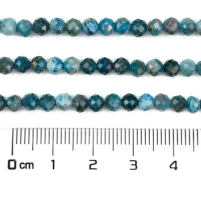 Natural Apatite Beads Strands G-C127-A01-02-1