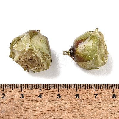 Brass Epoxy Resin Pendants FIND-D043-01G-10-1