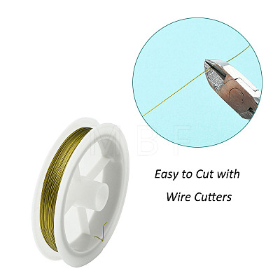 Tiger Tail Wire TWIR-R002-0.38mm-03-1