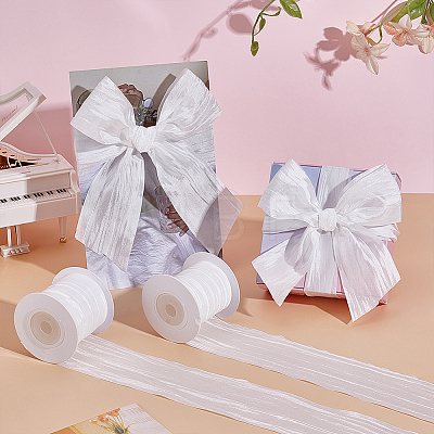 Polyester Wrinkle Ribbons OCOR-WH0078-501B-1