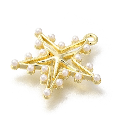 Alloy Pendants FIND-Z067-05G-02-1