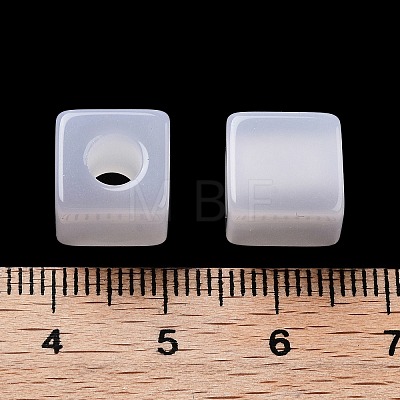 Resin European Beads RESI-Z030-02-1