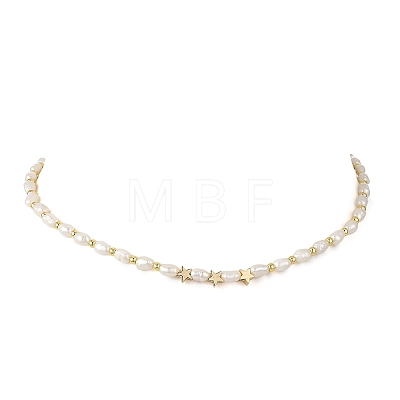 Natural Cultured Freshwater Pearl Two Sides Polished & Brass Star Beaded Necklaces for Women NJEW-JN06356-1