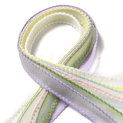 Polyester and Nylon Ribbon Sets DIY-Z029-01B-1