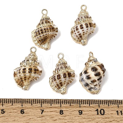 Brass & Natural Shell Pendants SH-CBA27C9-03-1