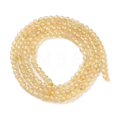 Natural Yellow Apatite Beads Strands G-N342-20A-01-1