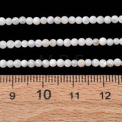 Natural Freshwater Shell Beads Strands SH-CBA2978-07D-02-1