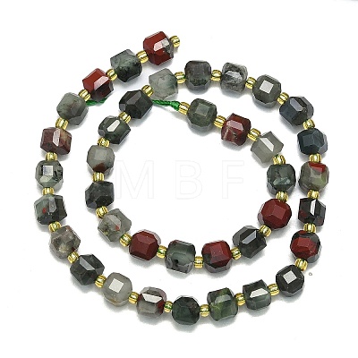 Natural Africa Bloodstone Beads Strand G-I376-D75-01-1