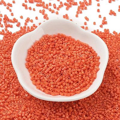 Baking Paint Glass Seed Beads SEED-S042-05B-84-1