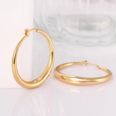 Adorable Design Ring Brass Hoop Earrings EJEW-BB07351-G-1