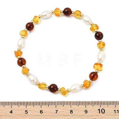 Natural Amber & Cultured Freshwater Pearl Beaded Stretch Bracelets for Women BJEW-JB13699-02-1