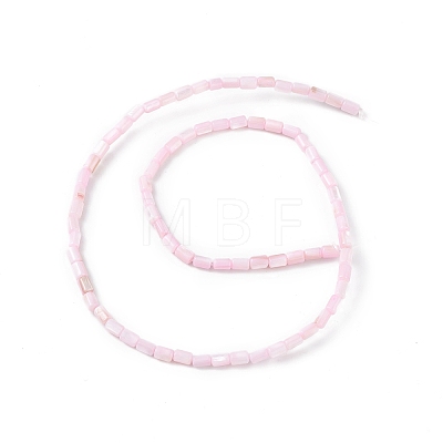 Natural Freshwater Shell Dyed Beads Strands SHEL-M018-12-09-1