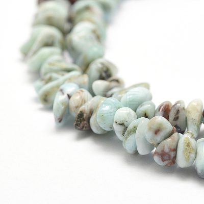 Natural Larimar Beads Strands X-G-P302-03-1