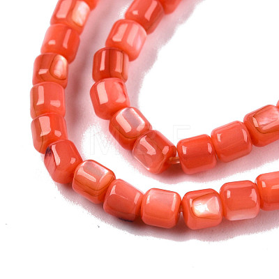 Natural Freshwater Shell Beads Strands SHEL-N003-33-A06-1