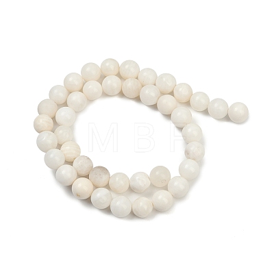 Natural White Shell Beads Strands BSHE-U001-01C-1