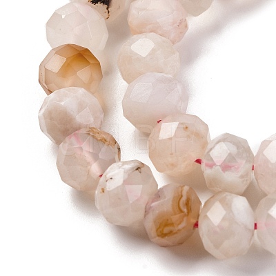 Natural Cherry Blossom Agate Beads Strands G-K380-A43-03-1