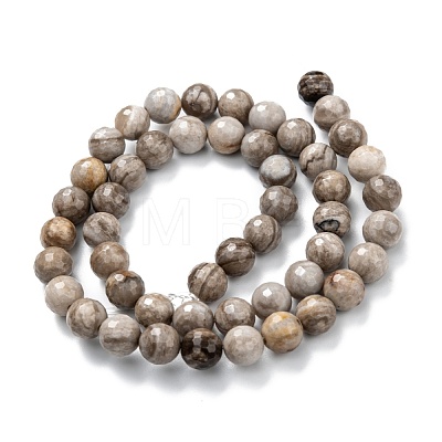 Natural Silver Leaf Jasper Beads Strands G-E444-35A-8mm-1