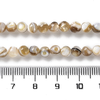 Natural Freshwater Shell Beads Strands X-SSHEL-B002-15-1