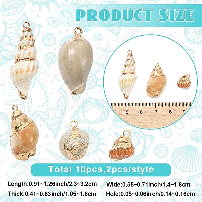 10Pcs 5 Styles Electroplated Natural Mixed Shell Pendants BSHE-YW0001-22-1