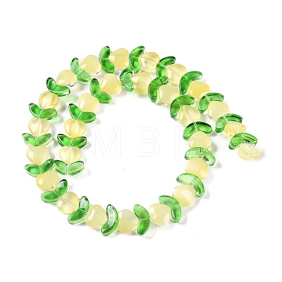 Transparent Glass Beads Strands GLAA-B021-04F-1