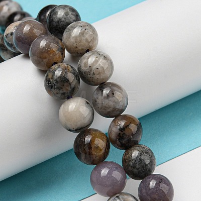 Natural Dendritic Jasper Beads Strands G-R494-A23-03-1