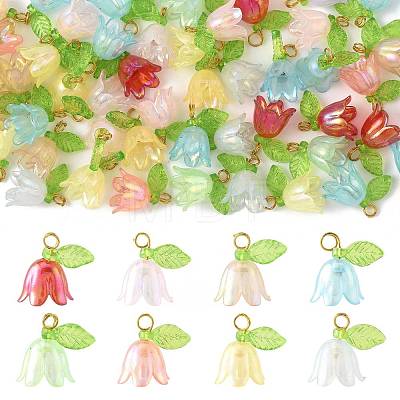 50Pcs Transparent Acrylic Pendants PALLOY-FS00043-03-1