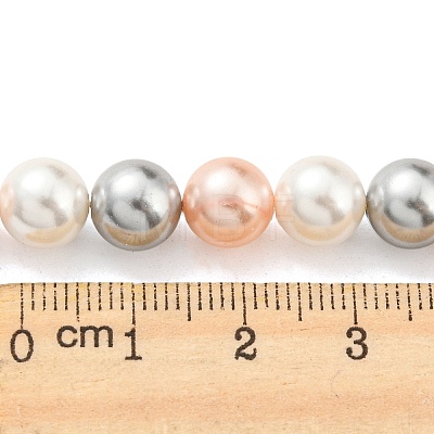 Electroplated Natural Shell Beads Strands SHEL-F008-03B-04-1