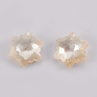 K9 Glass Rhinestone Pendants GLAA-F083-03B-1