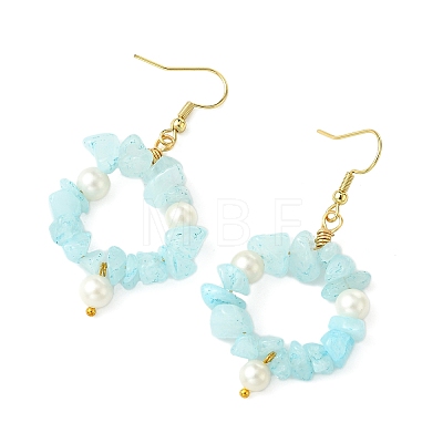 Natural Gemstone Beaded Dangle Earrings EJEW-JE07215-1