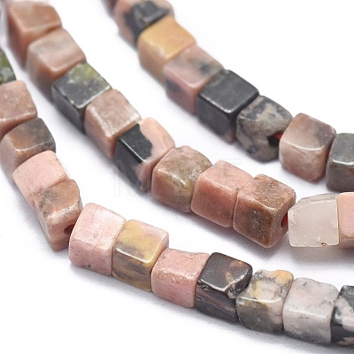 Natural Rhodonite Beads Strands G-A177-03-01-1