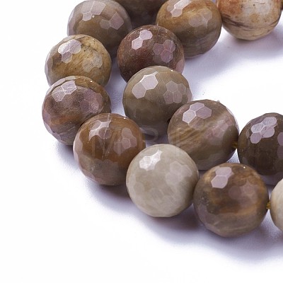 Natural Petrified Wood Beads Strands G-P430-16-D-1