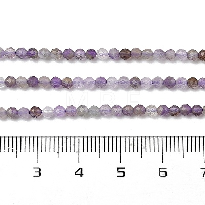 Natural Amethyst Beads Strands G-G189-D22-02-1