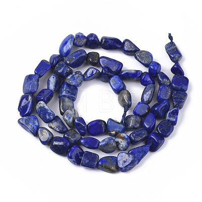 Natural Lapis Lazuli Beads Strands G-S363-044-1