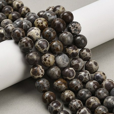 Natural Astroite Jasper Beads Strands G-F814-A01-8mm-1