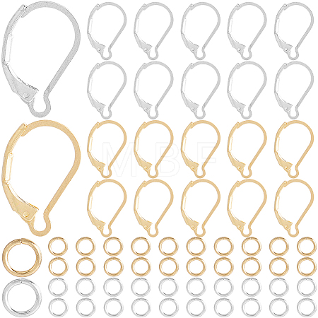 80Pcs 2 Color 304 Stainless Steel Leverback Earring Findings STAS-SP0001-19-1