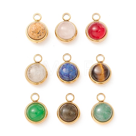 Natural Mixed Stone Charms G-K325-01G-1