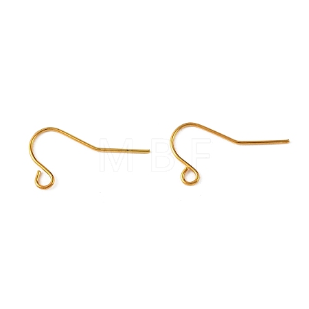 Iron Earring Hooks RN-CBA973B-10B-G-1